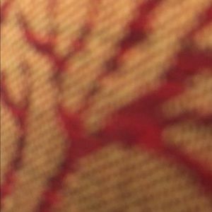 Meet your Posher, Shafiq